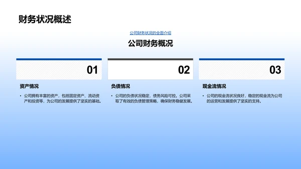 财务总结年中报告PPT模板