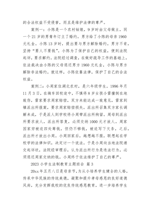 2023小学生法制教育主题班会.docx