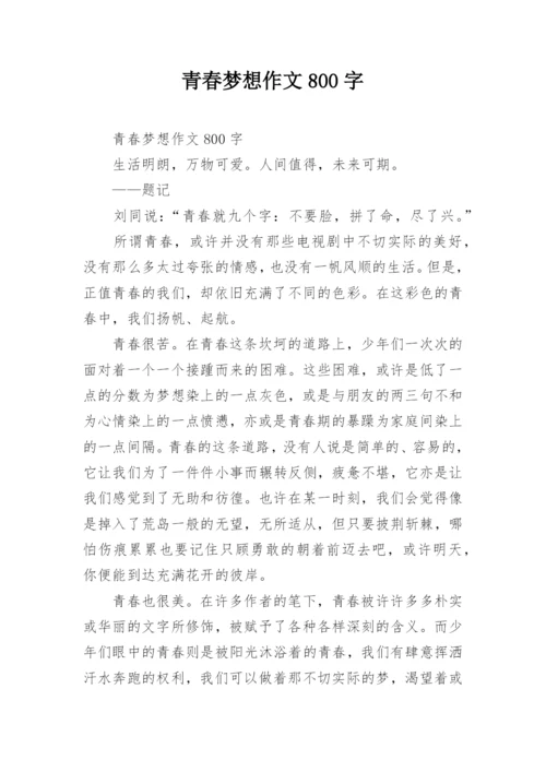 青春梦想作文800字.docx