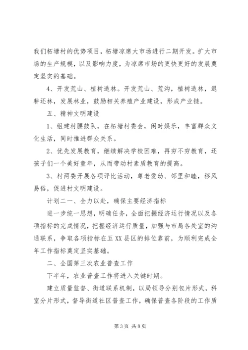 振兴乡镇下半年计划.docx