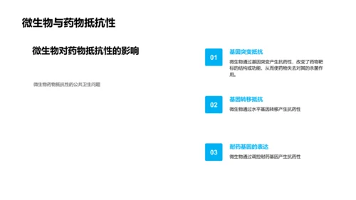 微生物学实用教程PPT模板