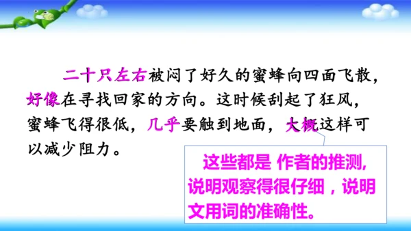 14《蜜蜂》课件