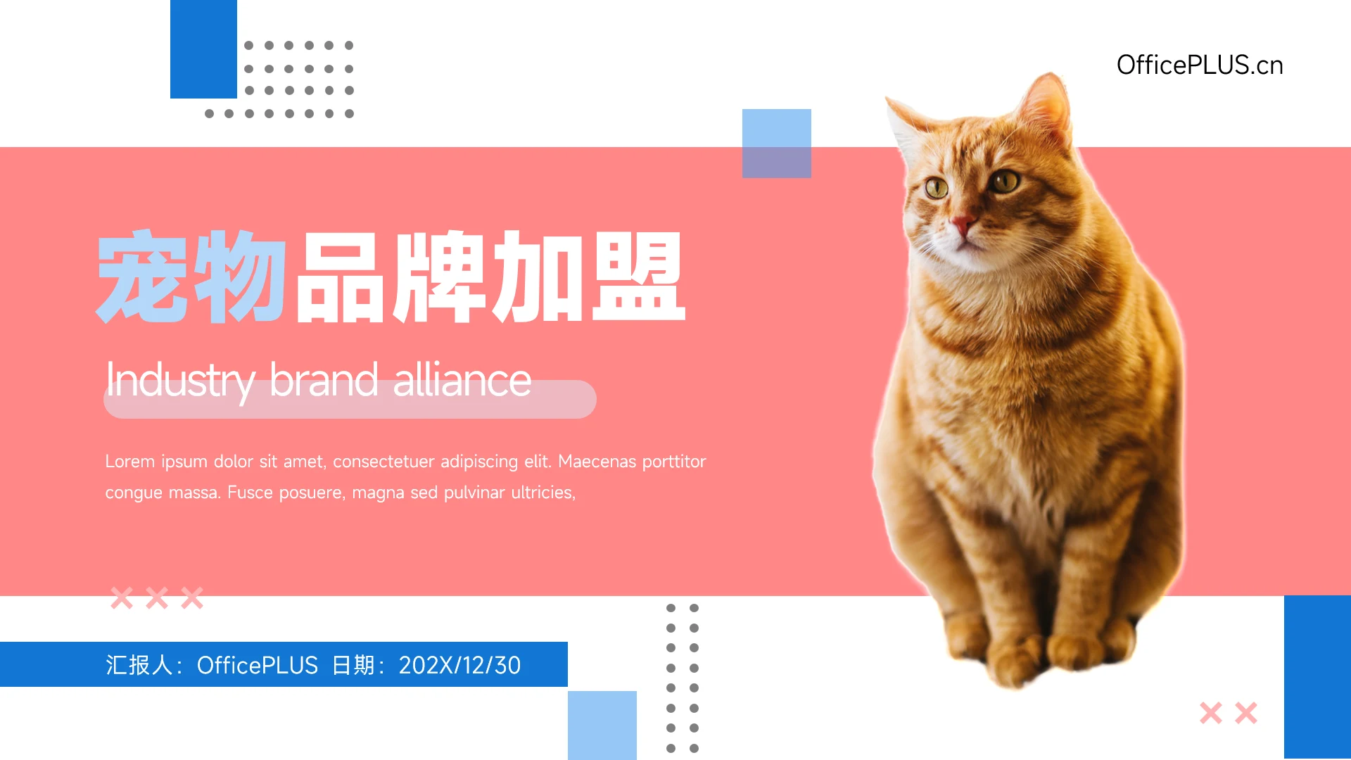 红蓝个性宠物品牌加盟PPT模板