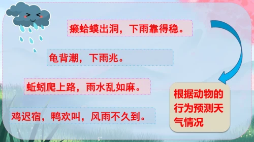 5《大自然的语言》课件