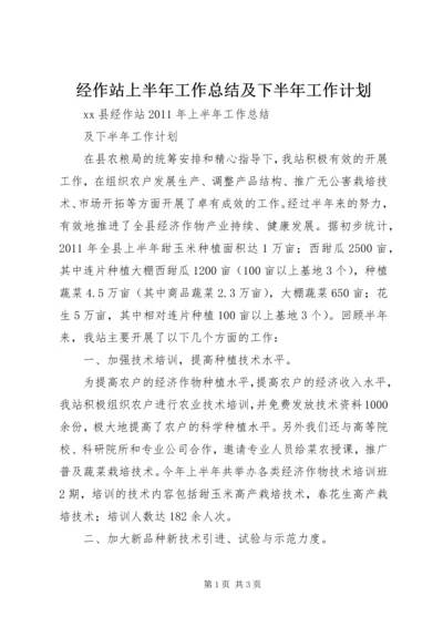 经作站上半年工作总结及下半年工作计划.docx