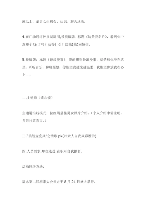 相亲大会专项策划专业方案.docx