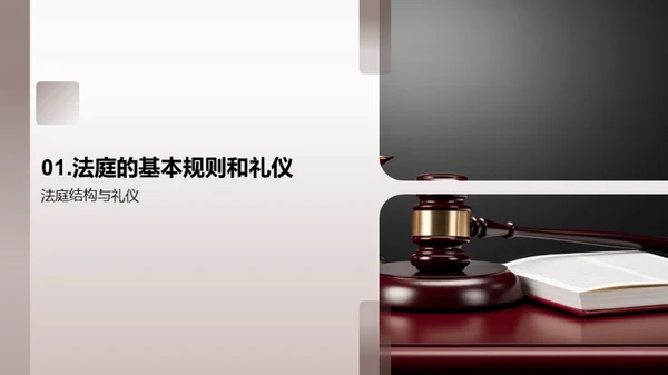 精通法庭礼仪