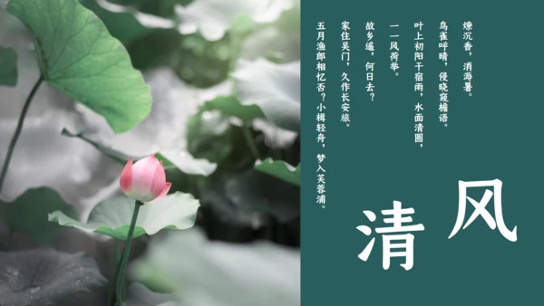 夏雨荷通用PPT模板
