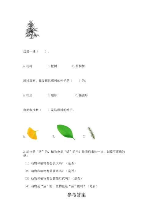 教科版科学一年级上册第一单元《植物》测试卷【基础题】.docx