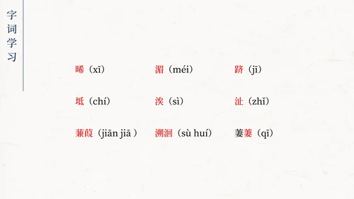 蒹葭PPT模板