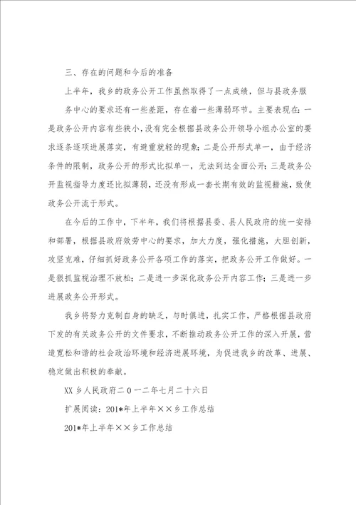 乡2023年年上半年政务公开工作总结