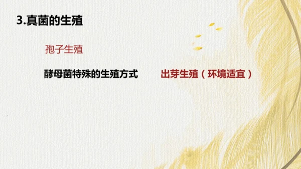 人教版（2024）七年级上册2.3.3真菌(共27张PPT)+视频素材