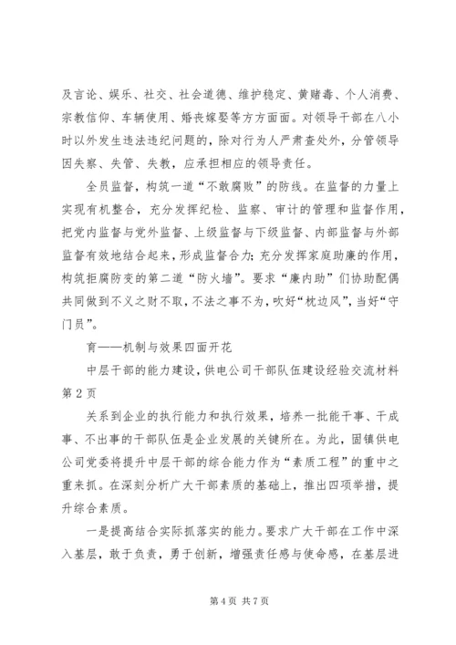 供电公司干部队伍建设经验交流材料 (7).docx