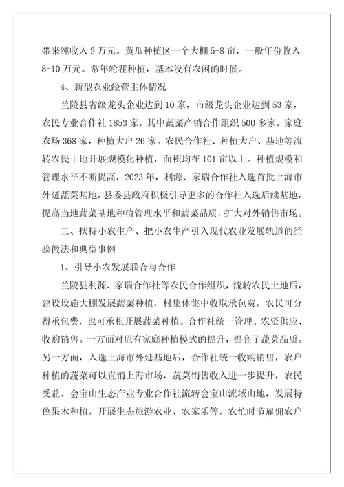 小农生产扶持政策调研报告