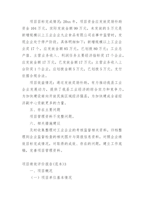 项目绩效评价报告.docx