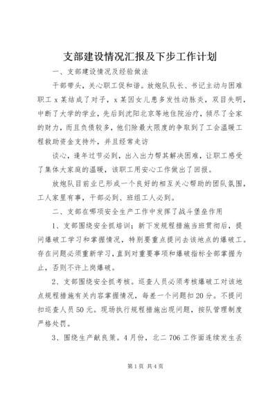 支部建设情况汇报及下步工作计划 (2).docx