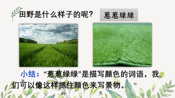 统编版二年级下册  语文园地二第一课时  课件