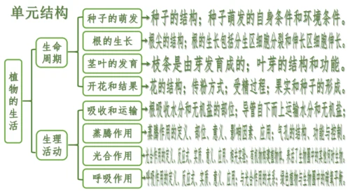 第三单元 植物的生活（单元复习课件）2023-2024学年七年级生物上册同步精品课件（人教版）(共3