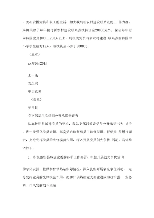 基层组织公开承诺书
