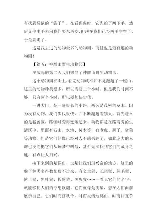 神雕山作文0.docx
