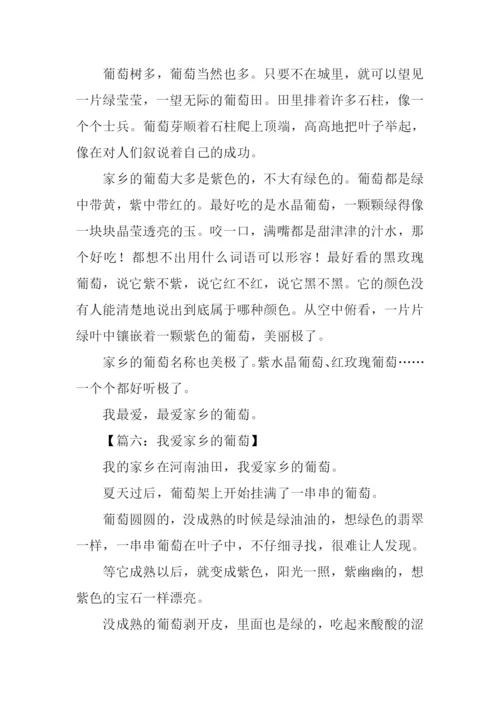 我爱家乡的葡萄作文.docx