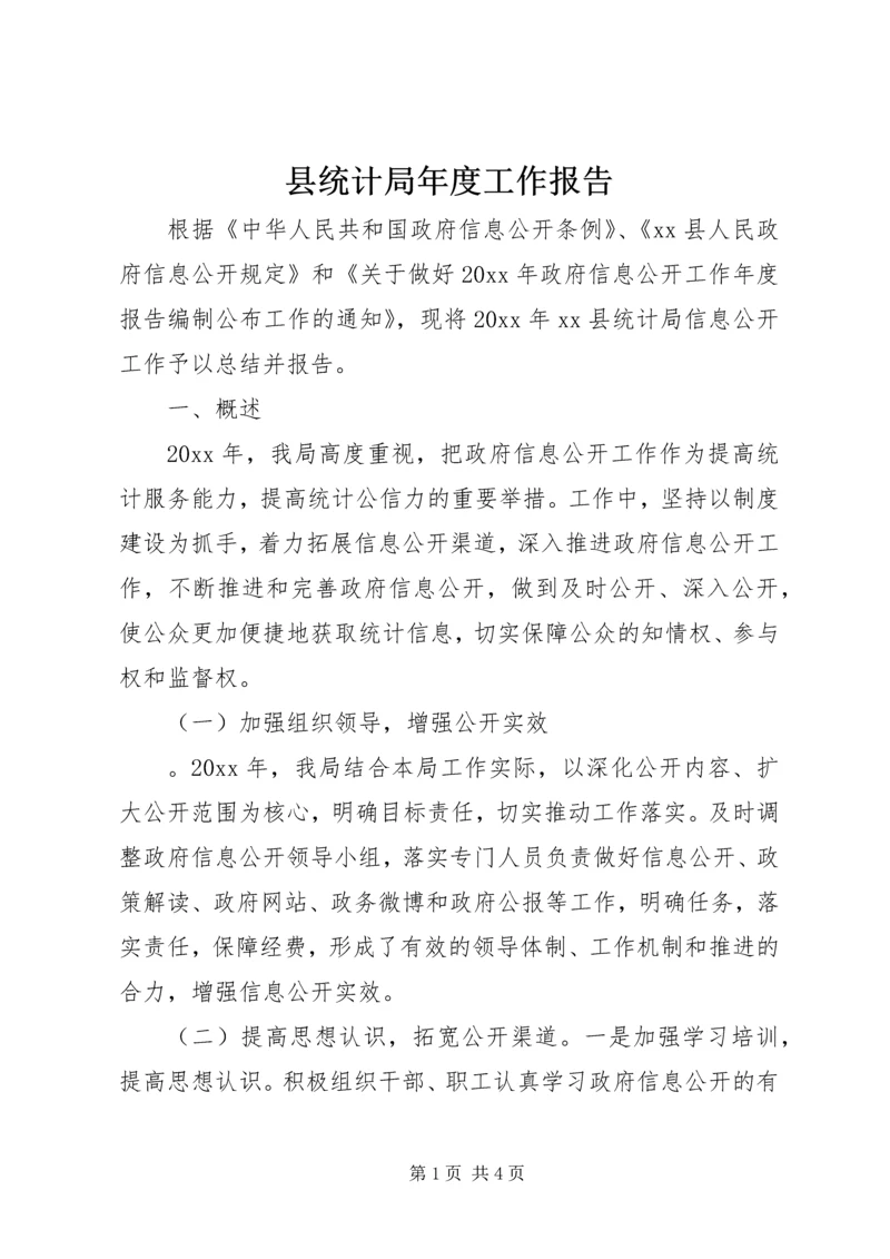 县统计局年度工作报告 (6).docx