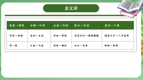 统编版2024三年级语文上册第一单元复习   课件