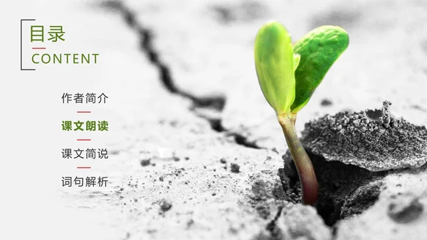 爱护生命保护环境林PPT教学课件