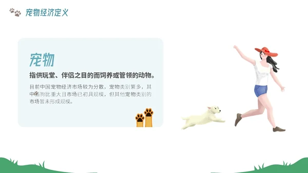 插画风宠物经济行业前景分析报告PPT