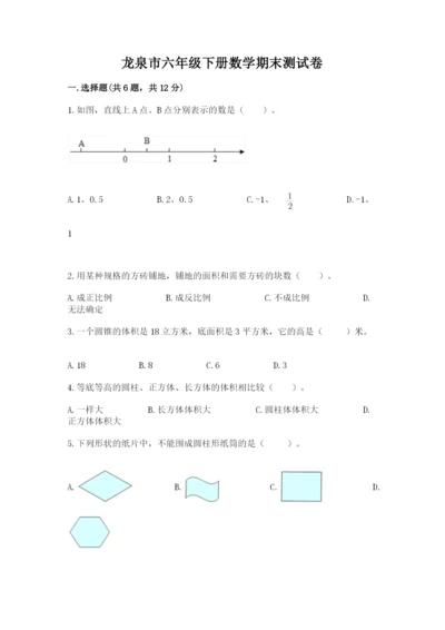 龙泉市六年级下册数学期末测试卷完美版.docx