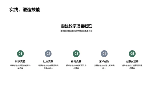 实践教学全方位解析