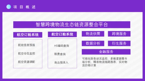 时尚女性跨境电商方案通用PPT模板