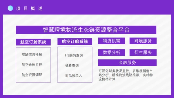 时尚女性跨境电商方案通用PPT模板