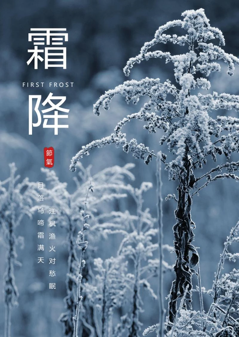 二十四节气之霜降海报word模板