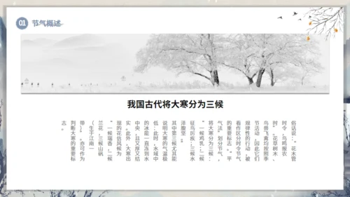 大寒节气山村通用PPT模板