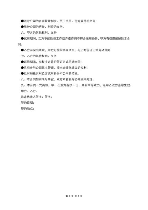 公司岗位试用期员工劳动合同书.docx