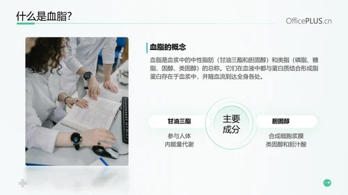 守护健康生活高血脂症健康知识教育PPT模板