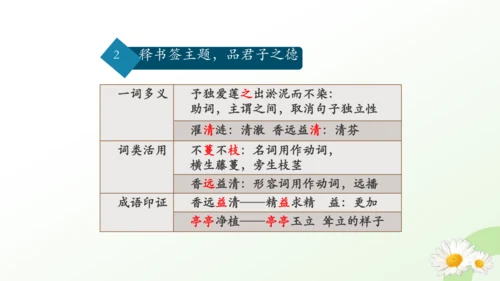 17 短文两篇 爱莲说 课件（共29张PPT）