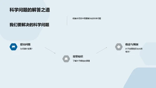 科学实验之路