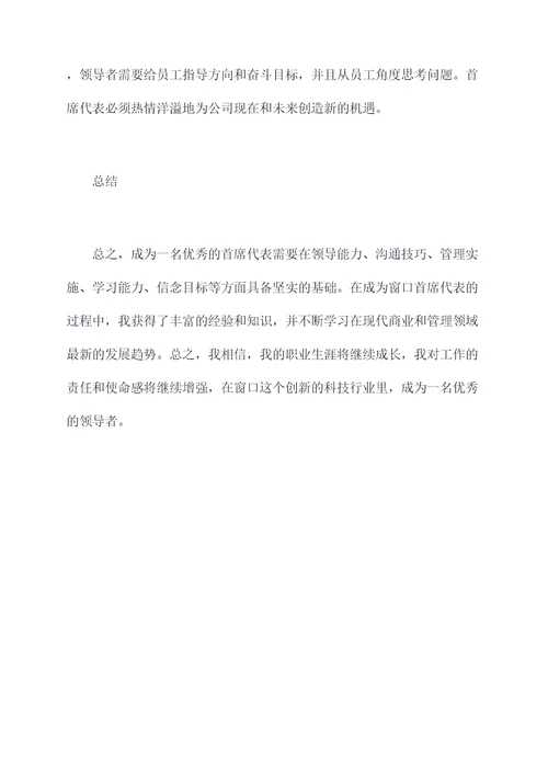 窗口首席代表个人总结