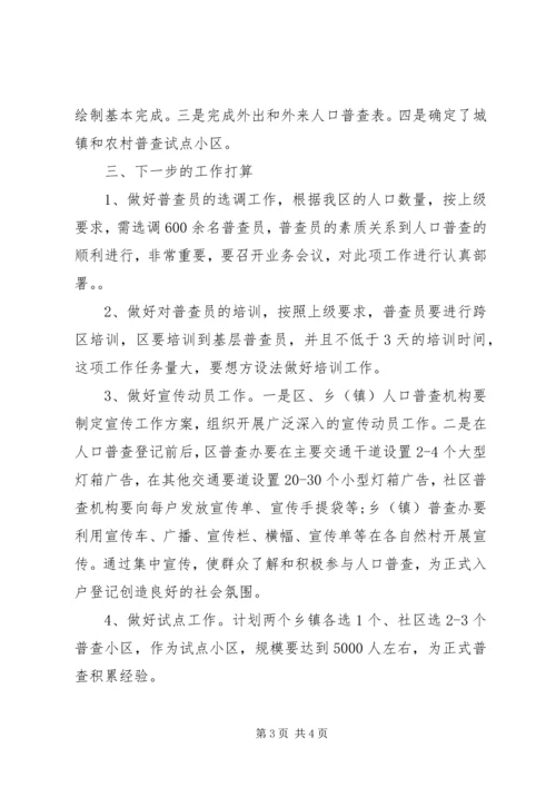 人口普查前期工作总结及下一步工作打算.docx
