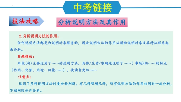 第五单元（单元复习课件）-八年级语文上册同步备课系列（统编版）(共37张PPT)