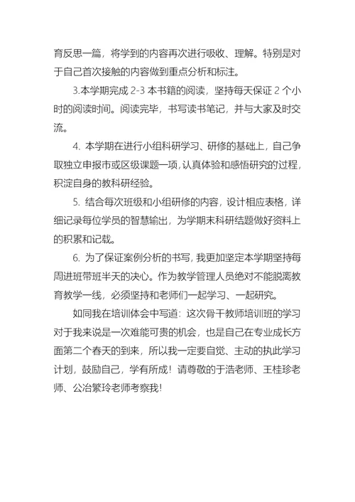 教师培训个人的学习计划