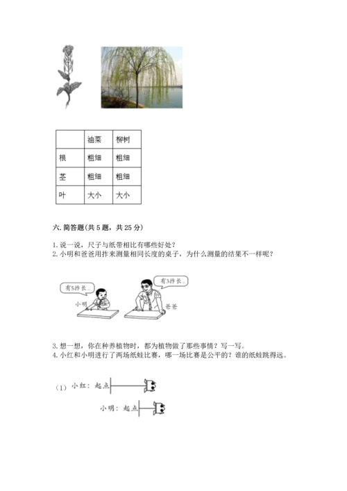 教科版一年级上册科学期末测试卷（黄金题型）.docx