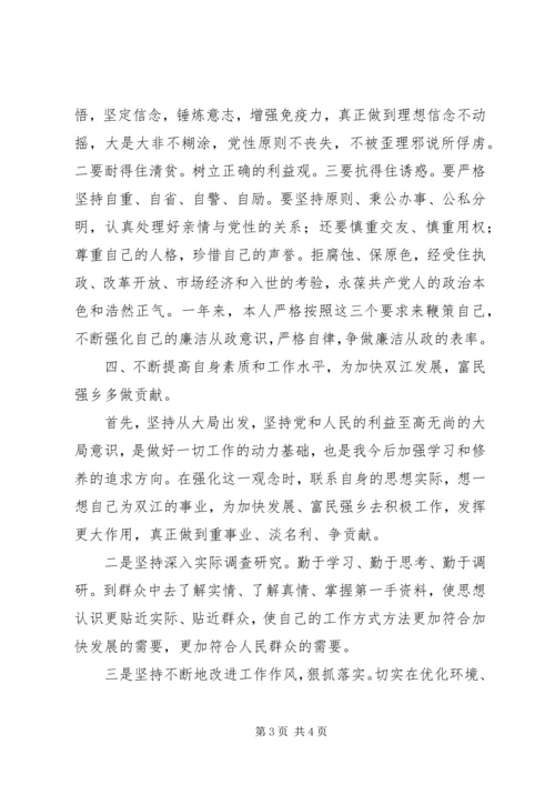 乡镇领导副职廉政述职报告.docx