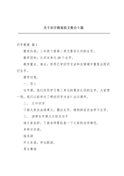 关于识字教案范文集合5篇.docx