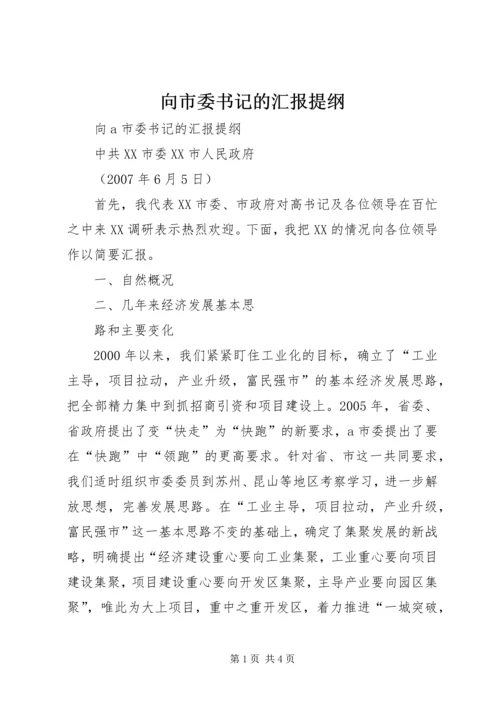 向市委书记的汇报提纲 (4).docx