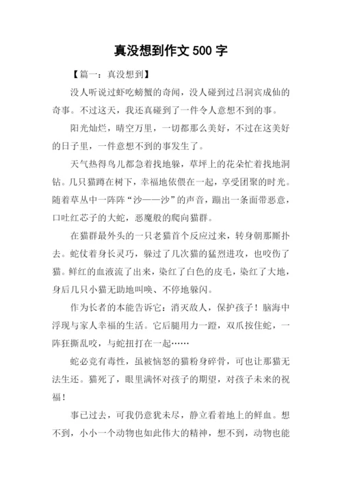 真没想到作文500字.docx