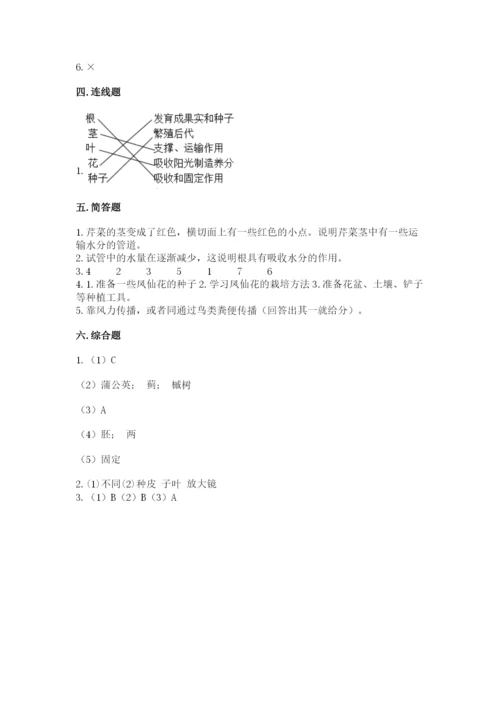 教科版四年级下册科学第一单元《植物的生长变化》测试卷标准卷.docx