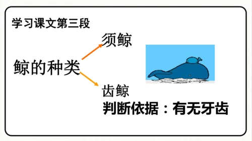 统编版语文五年级上册第五单元 习作例文《鲸》《风向袋的制作》 课件